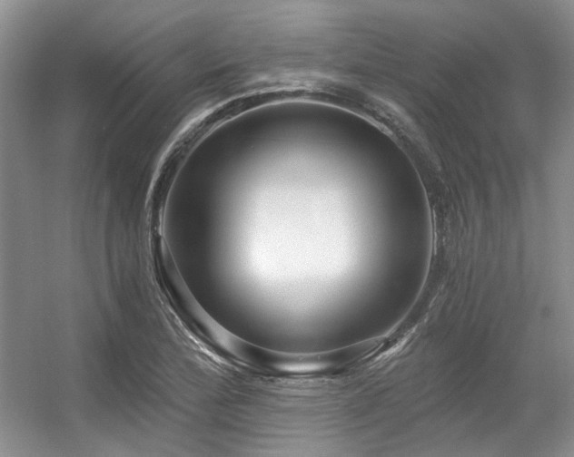 X0000056381172200508261152