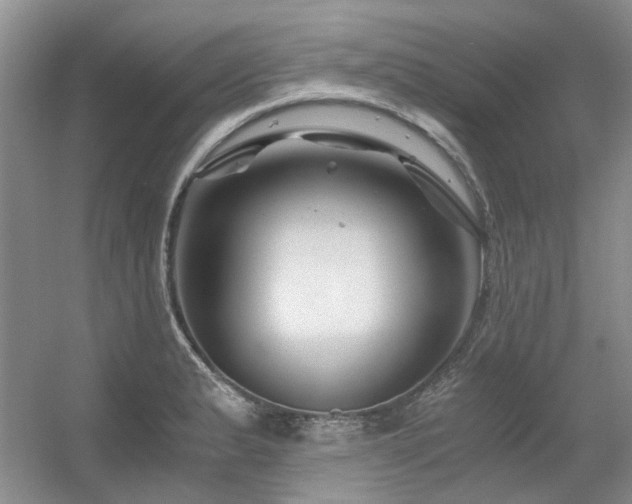 X0000056381183200508261152