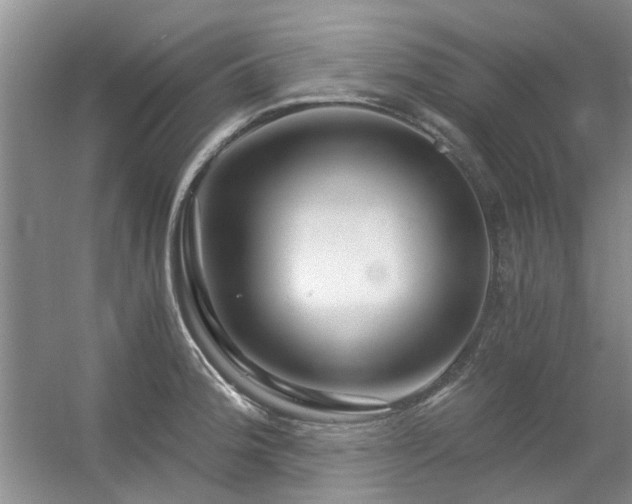 X0000056381188200508261152