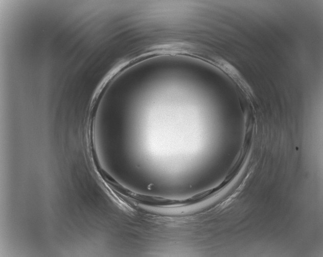 X0000056381196200508261152