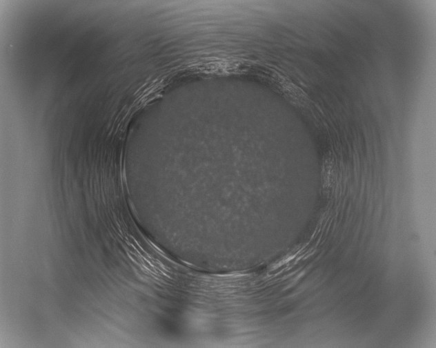 X0000056381202200508261151