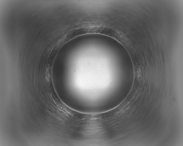 X0000056381204200508261151