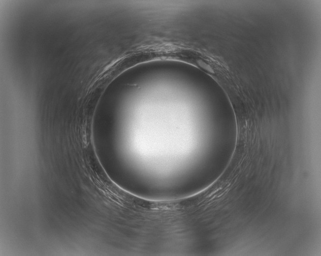 X0000056381205200508261151
