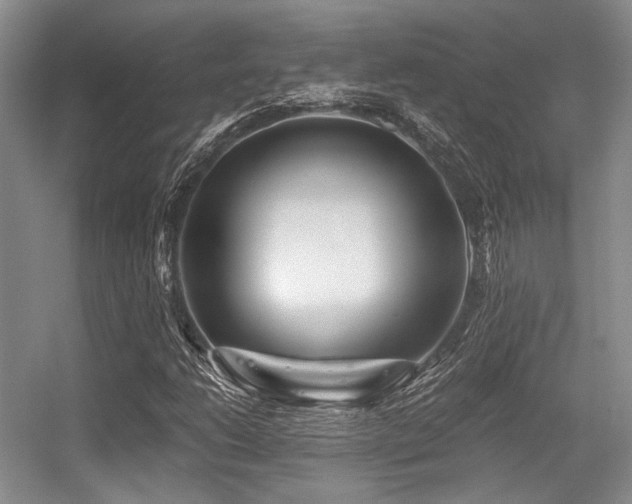 X0000056381206200508261151