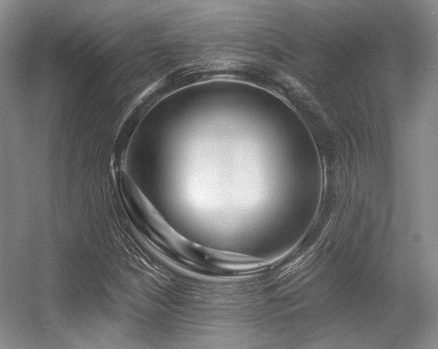 X0000056381210200508261151