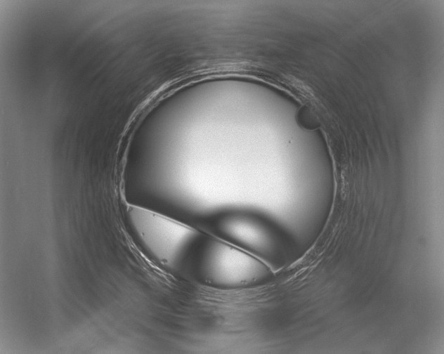 X0000056381212200508261151