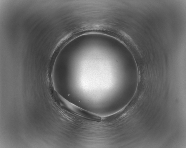 X0000056381218200508261151