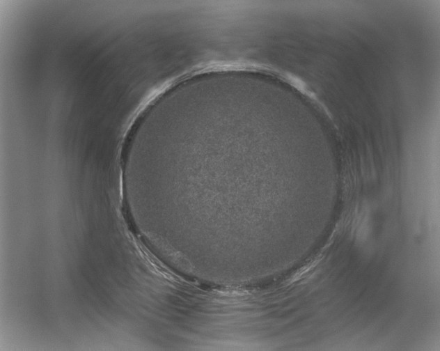 X0000056381221200508261151