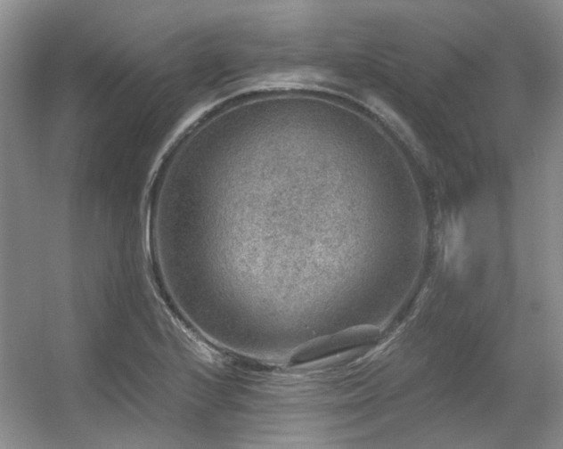 X0000056381224200508261151