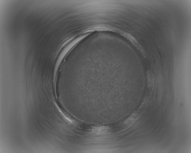 X0000056381225200508261151