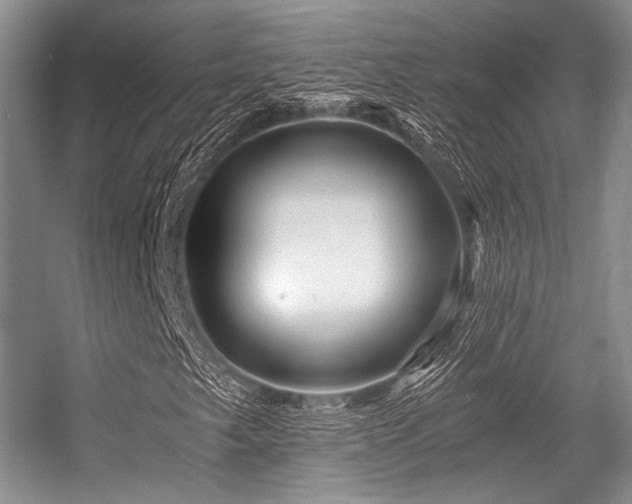 X0000056381249200508261151