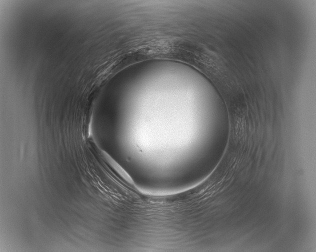 X0000056381250200508261151