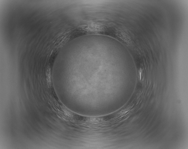 X0000056381251200508261151