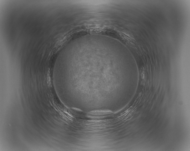 X0000056381252200508261151