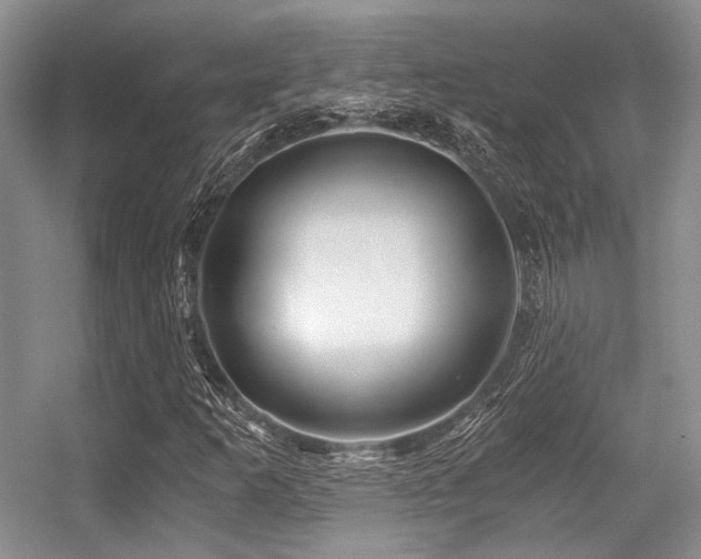 X0000056381253200508261151