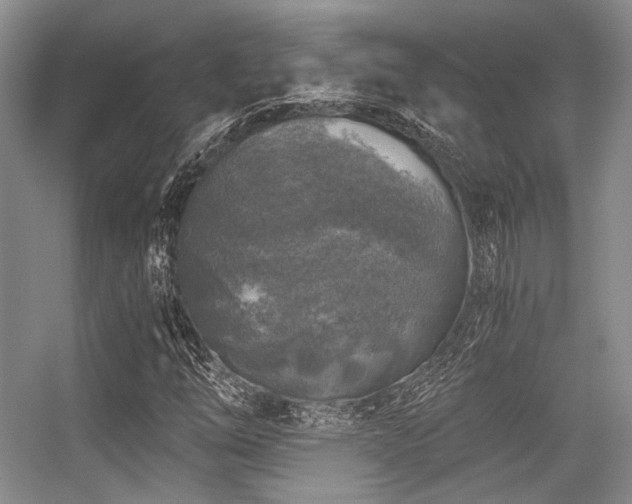 X0000056381254200508261151