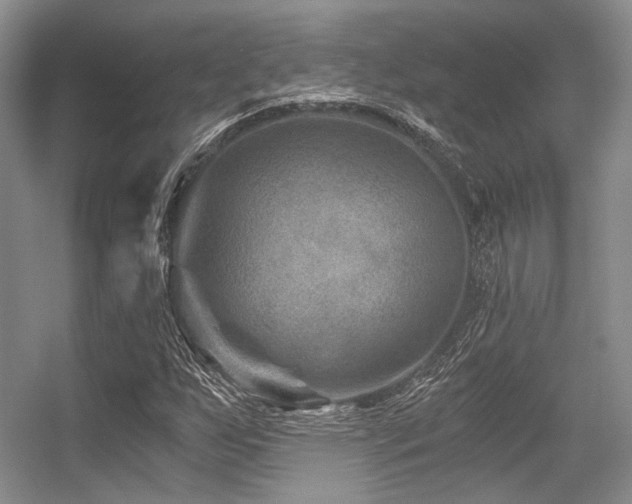 X0000056381255200508261151