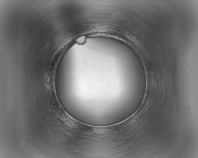 X0000056381258200508261151