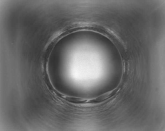 X0000056381261200508261151