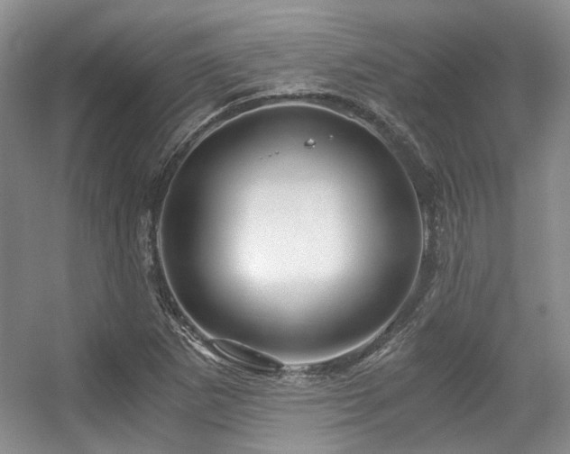 X0000056381265200508261151