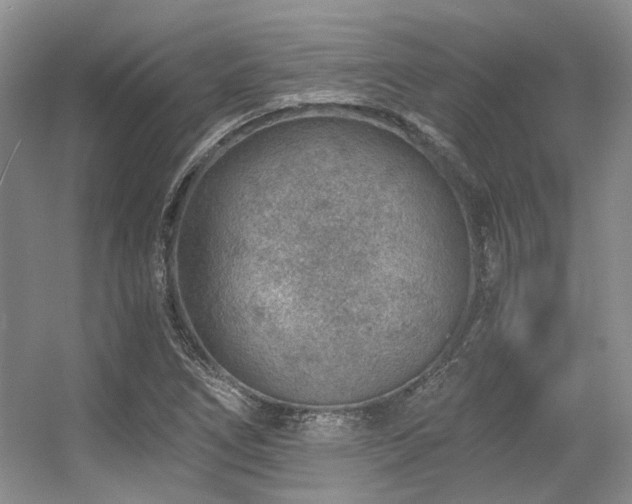 X0000056381266200508261151