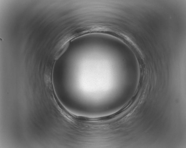 X0000056381281200508261150