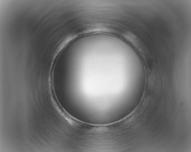 X0000056381282200508261150
