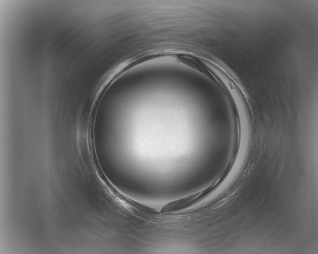 X0000056381293200508261150