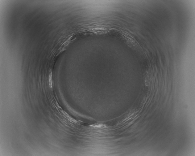 X0000056381298200508261149