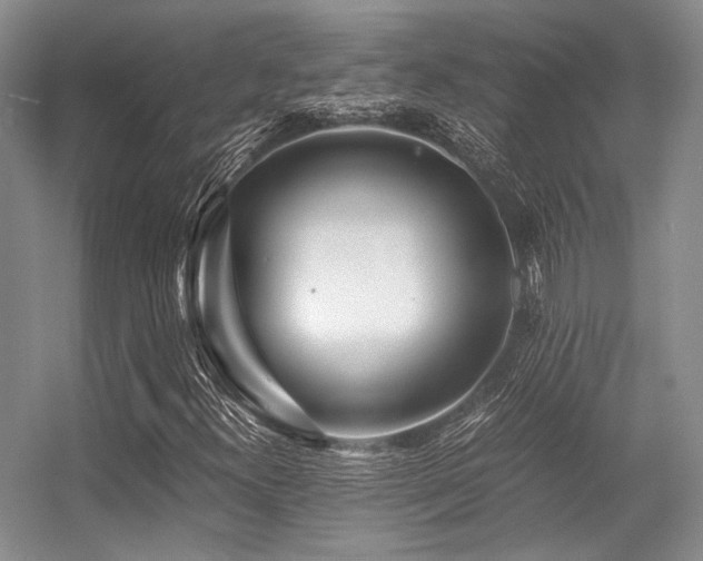 X0000056381300200508261149