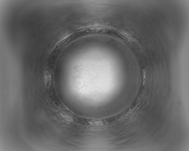 X0000056381302200508261149