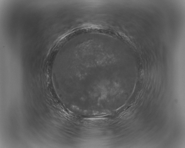 X0000056381303200508261149