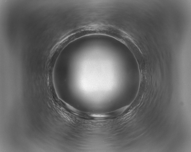 X0000056381304200508261149