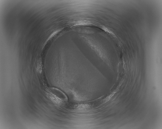 X0000056381306200508261149
