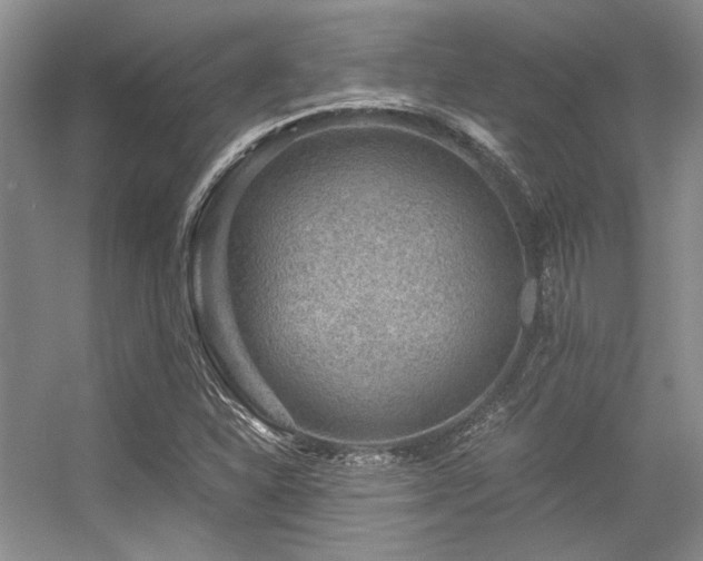 X0000056381310200508261150