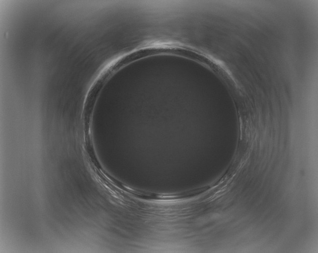 X0000056381319200508261150