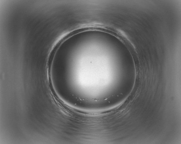 X0000056381320200508261150