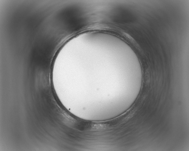 X0000056381322200508261150