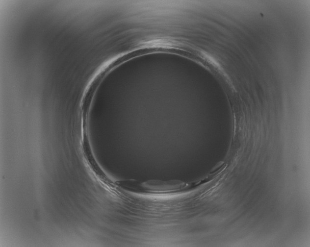 X0000056381323200508261150
