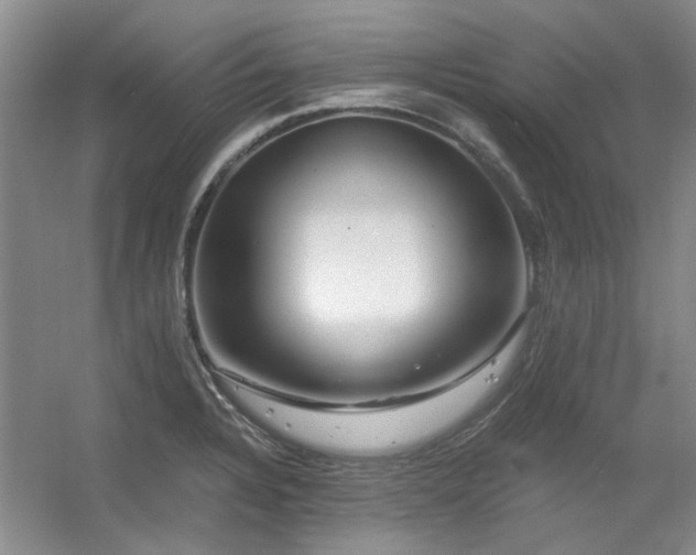X0000056381328200508261150