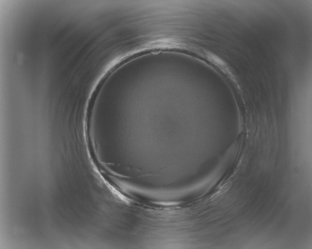 X0000056381334200508261150
