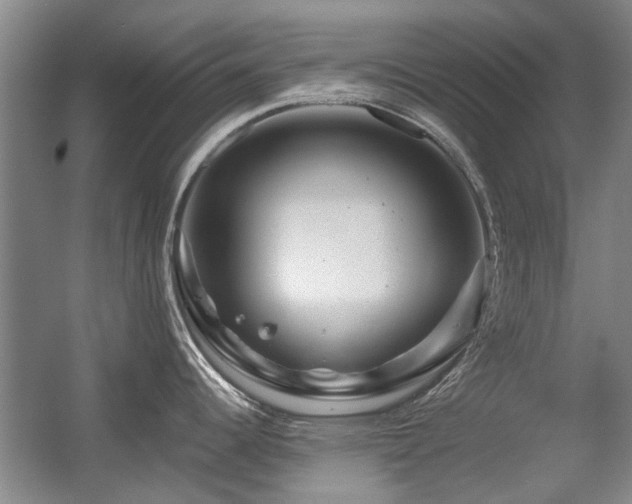 X0000056381344200508261150