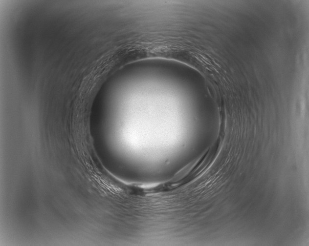 X0000056381345200508261149