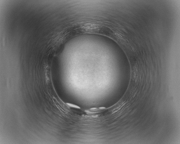 X0000056381346200508261149