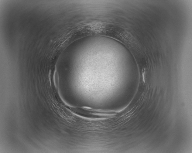 X0000056381347200508261149