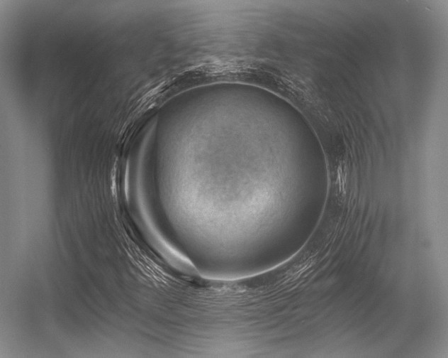 X0000056381348200508261149