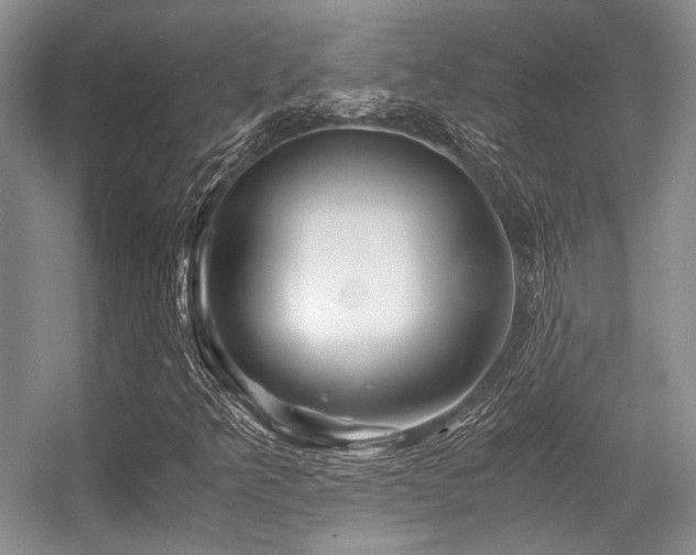 X0000056381349200508261149