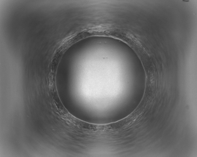 X0000056381350200508261149