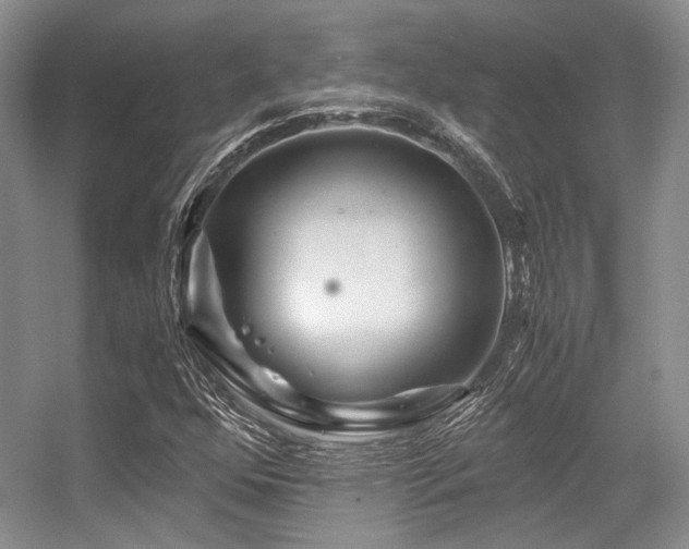 X0000056381352200508261149