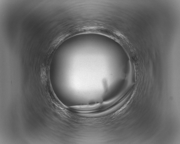 X0000056381353200508261149